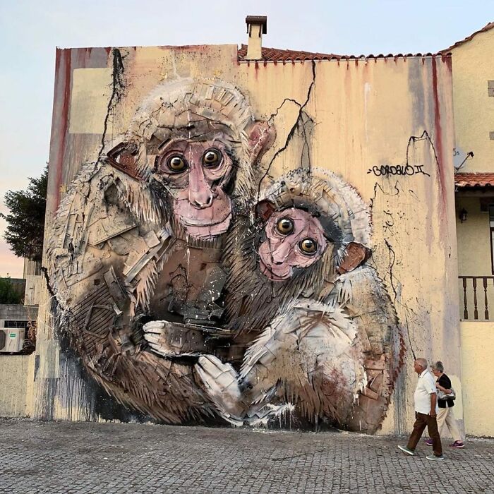 Wall In Viseu, Portugal (2020)