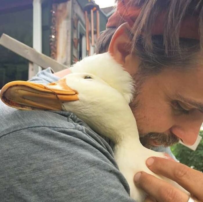 Man hugging a duck closely, showing an unexpectedly beautiful bond between humans and animals outdoors.