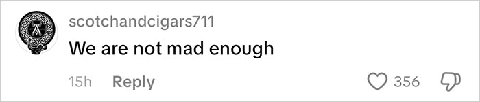 Screenshot of a social media comment with 356 likes reacting to Frida Mom’s controversial marketing online.