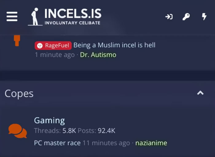 Screenshot of an incel forum thread with posts discussing gaming and personal struggles on incel forums platform.