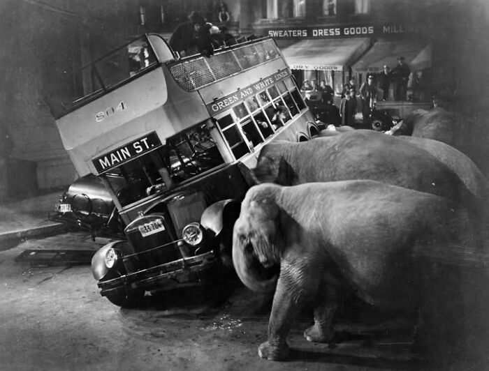 These Stunning Photographs Capture Perfectly Timed Moments That Tell Whole Stories (35 New Pics)