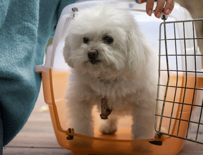 20 Secretos de aeropuertos contados por trabajadores y viajeros habituales