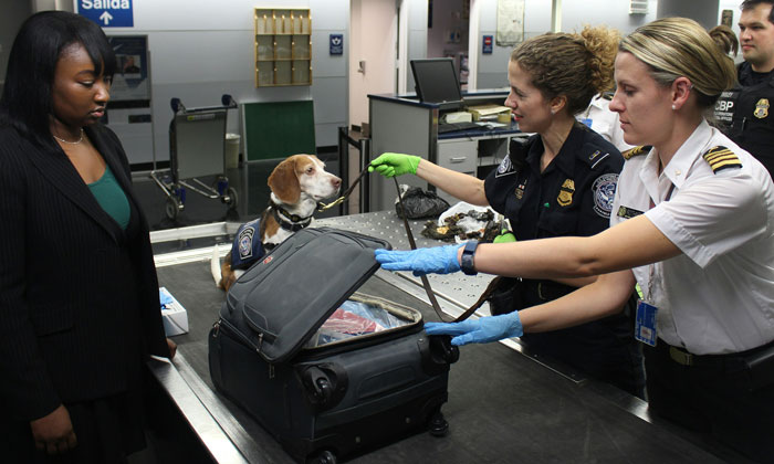 20 Secretos de aeropuertos contados por trabajadores y viajeros habituales