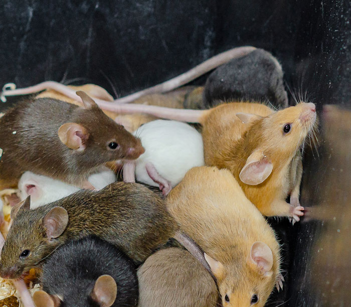 “Don’t Eat The Food”: 32 Airport Secrets From Insiders And Regular Flyers