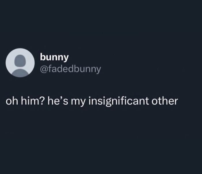 Social media post by bunny humorously referring to someone as their insignificant other in a cynical meme style.