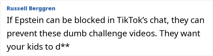 Comment from Russell Berggren criticizing dangerous TikTok challenge videos that risk children&rsquo;s safety and well-being.