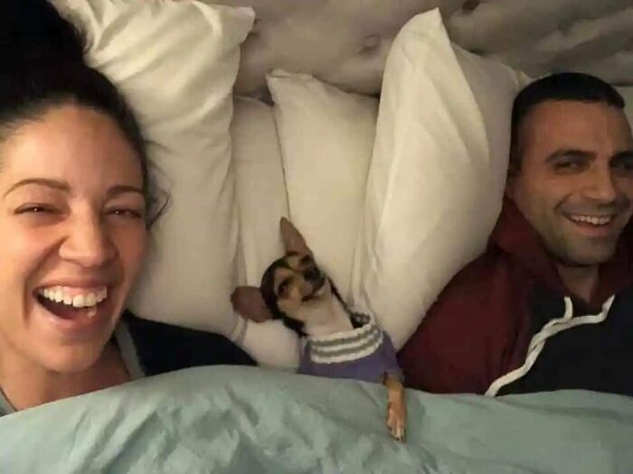 A woman and man lying in bed smiling with a small dog between them, showing unexpected beautiful bonds.