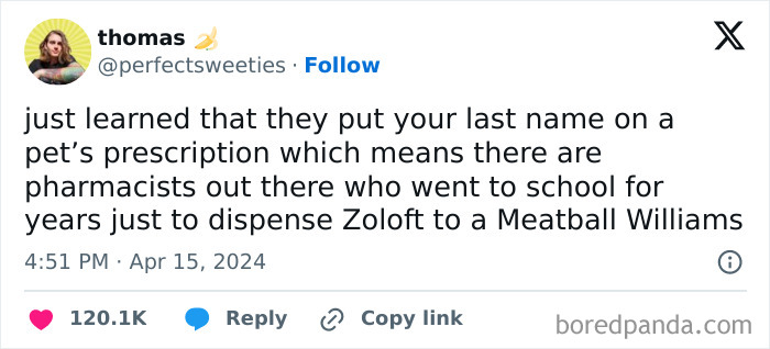 Tweet about ridiculous pet names mentioning a prescription for a pet named Meatball Williams shared on social media.