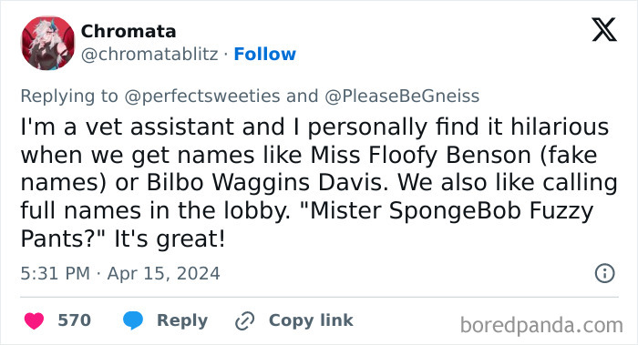 Tweet from a vet assistant sharing hilarious and ridiculous pet names like Miss Floofy Benson and Bilbo Waggins Davis.
