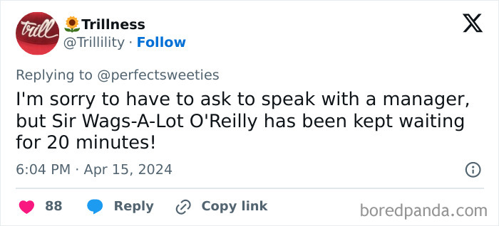 Tweet showing a funny ridiculous pet name Sir Wags-A-Lot O'Reilly shared by a user on social media.