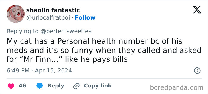 Tweet showing a funny story about a cat's unusual name in a collection of ridiculous pet names shared online.