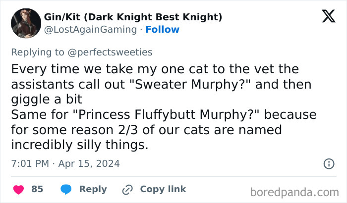 Screenshot of a social media post sharing ridiculous pet names including Sweater Murphy and Princess Fluffybutt Murphy.