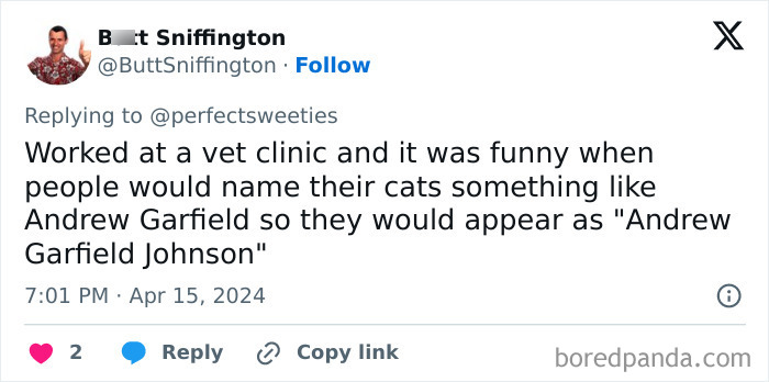Tweet about funny and ridiculous pet names, including cats named after celebrities, shared by vet clinic worker.