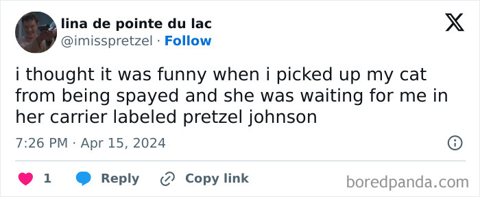 Tweet showing a funny pet name Pretzel Johnson on a cat carrier, illustrating ridiculous pet names people share.