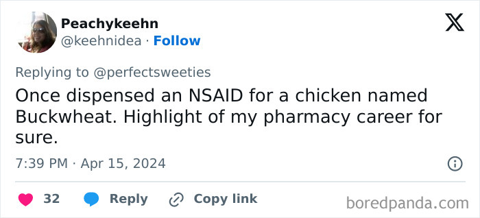 Screenshot of a tweet sharing a ridiculous pet name Buckwheat for a chicken from a pharmacy career highlight.