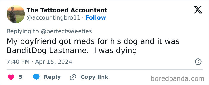 Screenshot of a tweet sharing a ridiculous pet name BanditDog Lastname in a humorous pet names post.