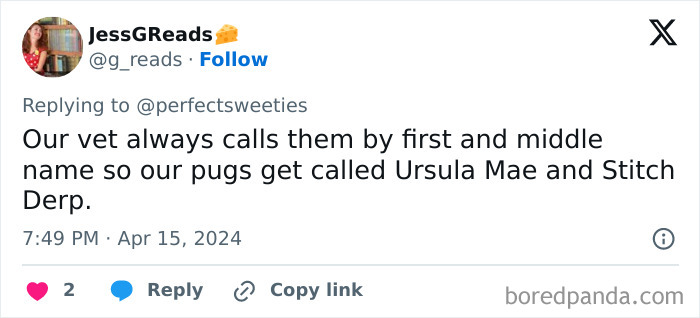 Tweet about ridiculous pet names including Ursula Mae and Stitch Derp shared by a user responding to a pet-related thread.