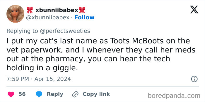 Tweet sharing a ridiculous pet name Toots McBoots used on vet paperwork causing pharmacy tech to giggle.