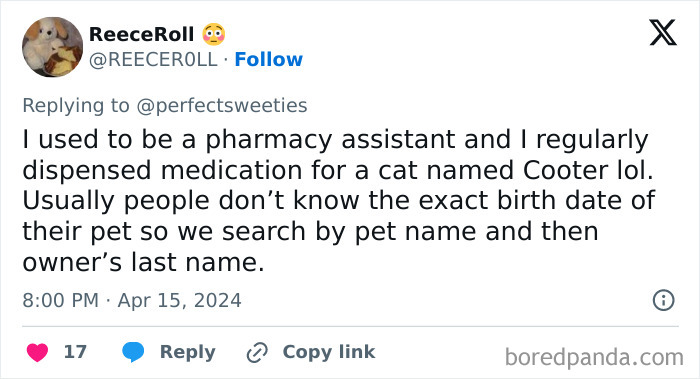 Tweet about dispensing medication for a cat named Cooter, showcasing a ridiculous pet name shared by people online.