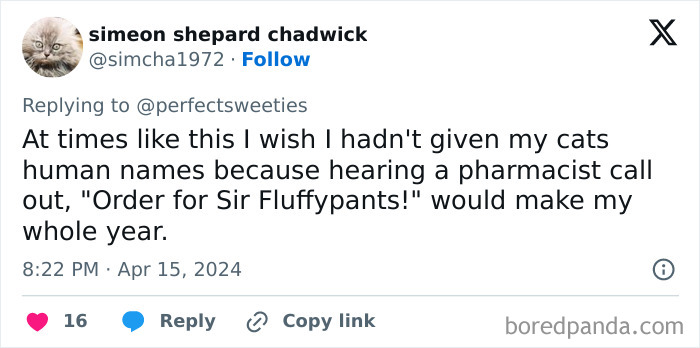 Twitter post about hilarious and ridiculous pet names shared by people, highlighting funny pet name stories.