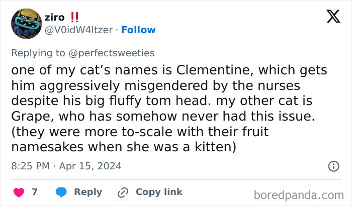 Tweet sharing ridiculous pet names Clementine and Grape, highlighting funny misgendering of pets with unique names.