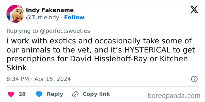 Tweet showing a humorous veterinary story with ridiculous pet names shared by people working with exotic animals.