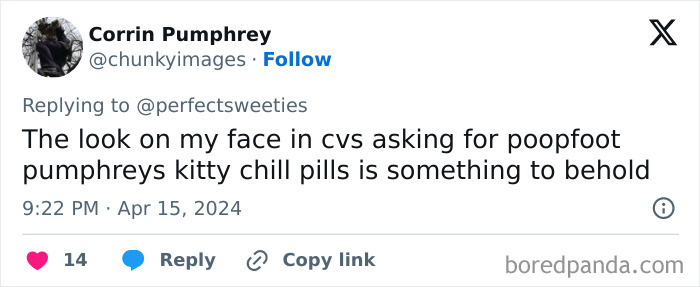 Tweet about a funny pet name poopfoot pumphreys and a humorous request for kitty chill pills, highlighting ridiculous pet names.
