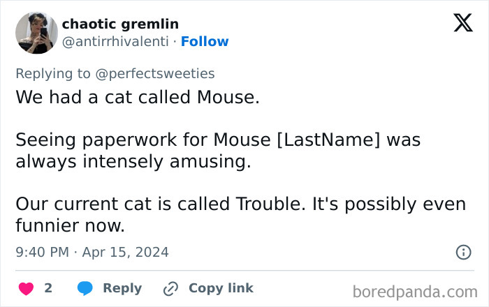 Tweet showing funny pet names Mouse and Trouble, highlighting the humor in unusual and ridiculous pet names shared online.