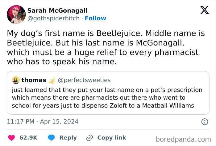 Tweet showing a humorous pet name Beetlejuice McGonagall, highlighting ridiculous pet names people share online.