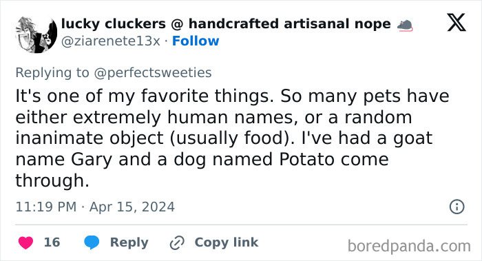 Tweet about ridiculous pet names including a goat named Gary and a dog named Potato shared humorously online.