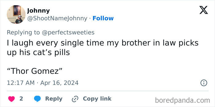 Screenshot of a tweet sharing a ridiculous pet name Thor Gomez used for a cat’s pills, illustrating funny pet names.