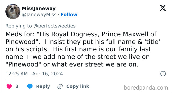 Tweet showing a humorous pet name involving a royal-style title, illustrating ridiculous pet names shared online.
