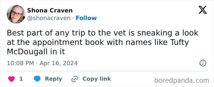 Tweet by Shona Craven sharing a funny pet name Tufty McDougall found in a vet appointment book, highlighting ridiculous pet names.