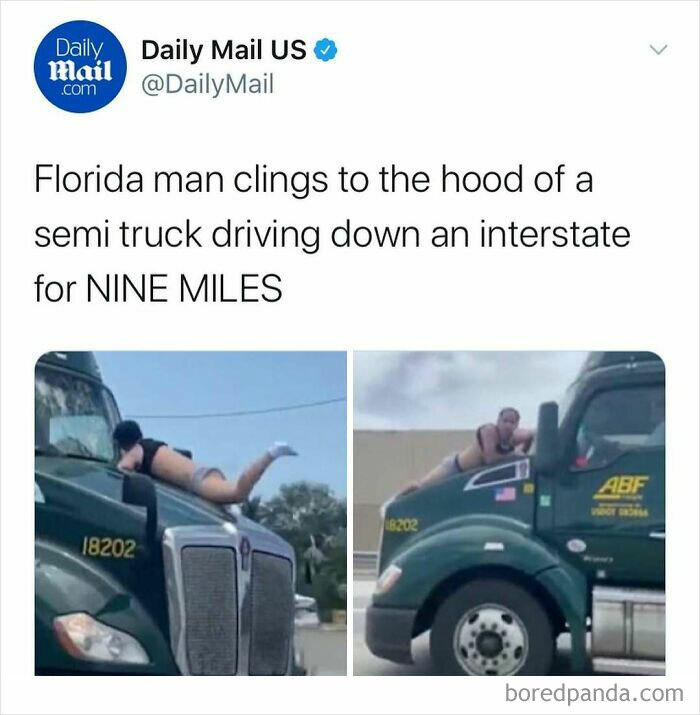 Florida man clings to semi truck hood driving down interstate in one of the unhinged news headlines from America.