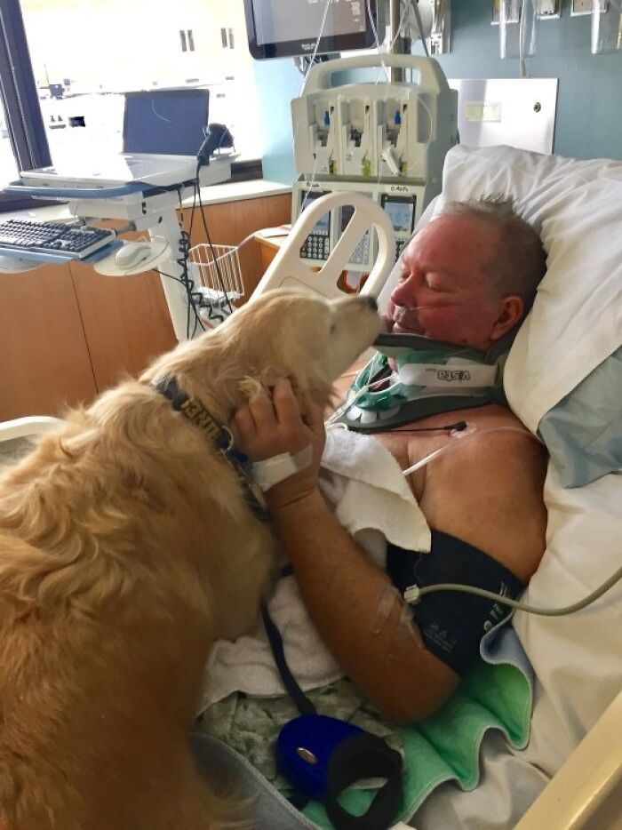 Patient in hospital bed wearing a neck brace receives comfort from a golden retriever dog during recovery time.