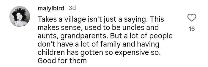 Comment discussing the pros and challenges of platonic co-parenting and the high costs of raising children.