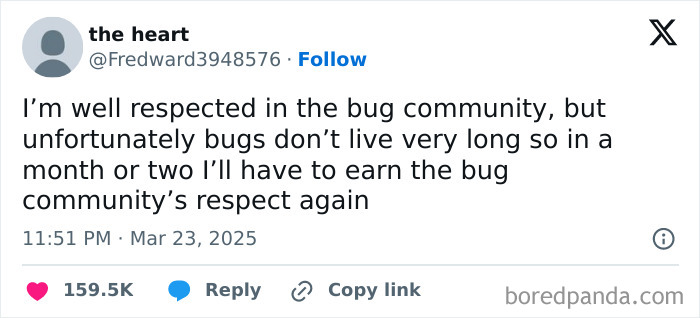 Tweet about being respected in the bug community but needing to earn respect again due to short bug lifespan funny random tweets