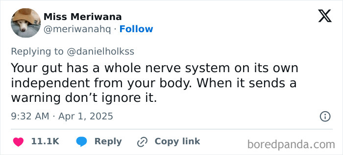 Tweet about the surprising fact that the gut has its own nerve system, highlighting true facts that sound far-fetched.