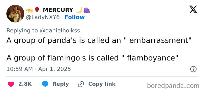 Tweet showing unusual animal group names, illustrating facts that sound far-fetched but are actually true.