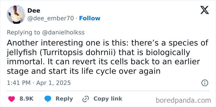 Tweet showing a fact about the biologically immortal jellyfish, part of far-fetched facts that are actually true.