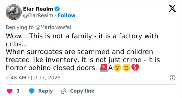 Tweet about surrogate suing couple after discovering they already had 21 kids, highlighting surrogacy scam and child treatment concerns.