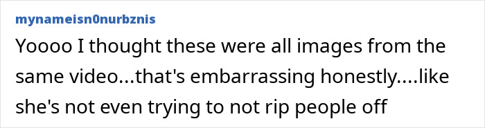 Screenshot of an online comment accusing Taylor Swift’s Opalite video of being a complete rip of the concept by an indie musician.