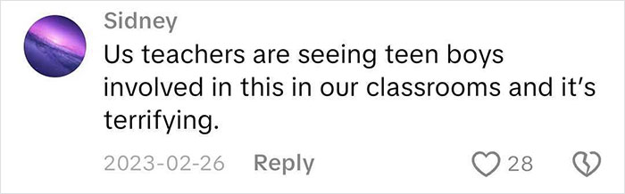 Comment from user Sidney about teachers witnessing teen boys involved in incel forums, describing it as terrifying.