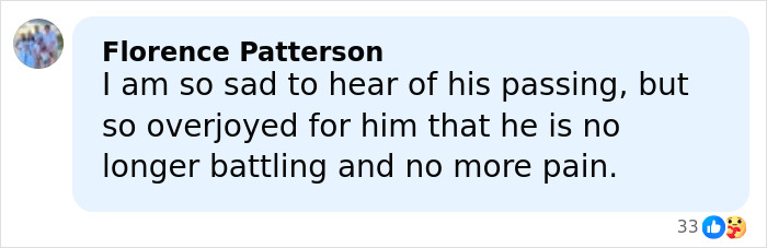 Comment expressing sympathy and relief about James Van Der Beek, star of Dawson's Creek, no longer being in pain.