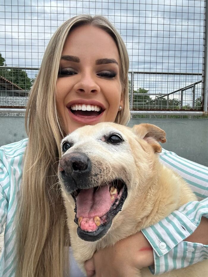 This Senior Dog Waited Years In A Shelter Until One Man Finally Gave Him A Home