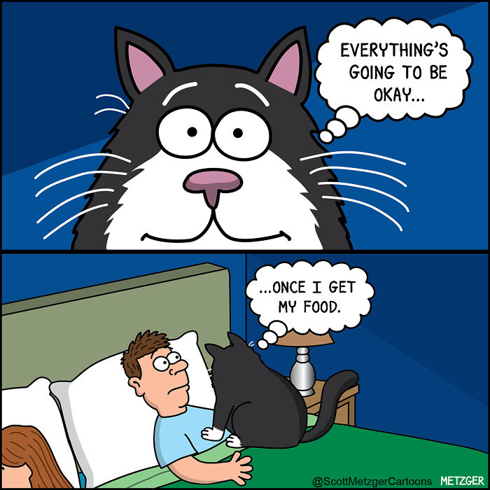 Cartoon showing the experience of sharing a home with cats and dogs with humorous pet thoughts.