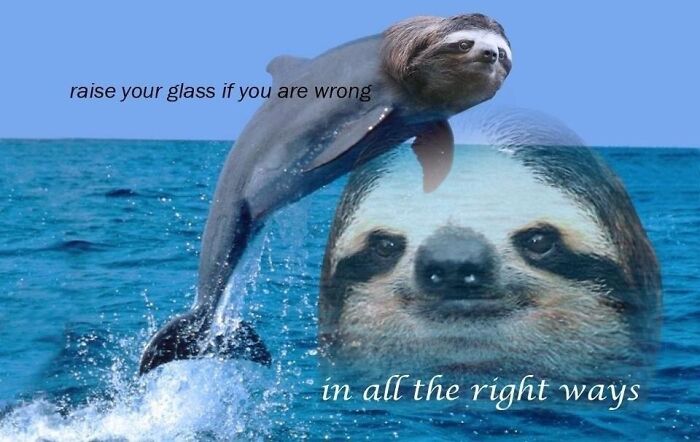 A wild and unhinged Photoshop image of a dolphin with a sloth head jumping out of the ocean under a blue sky.