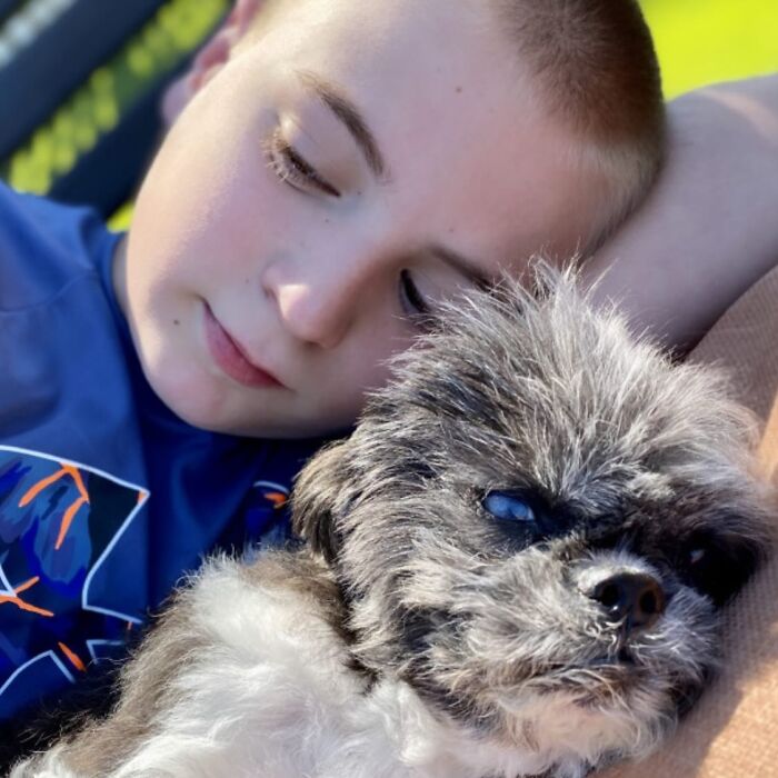 This 14-Year-Old Boy Has Helped Thousands Of Shelter Dogs Find Homes, And His Mission Started When He Was Just 4 (31 Pics)