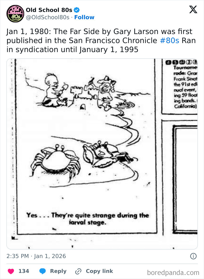 Cartoon from the 80s showing kids playing on the beach with crabs, highlighting nostalgia for 80s memories on this popular X page.