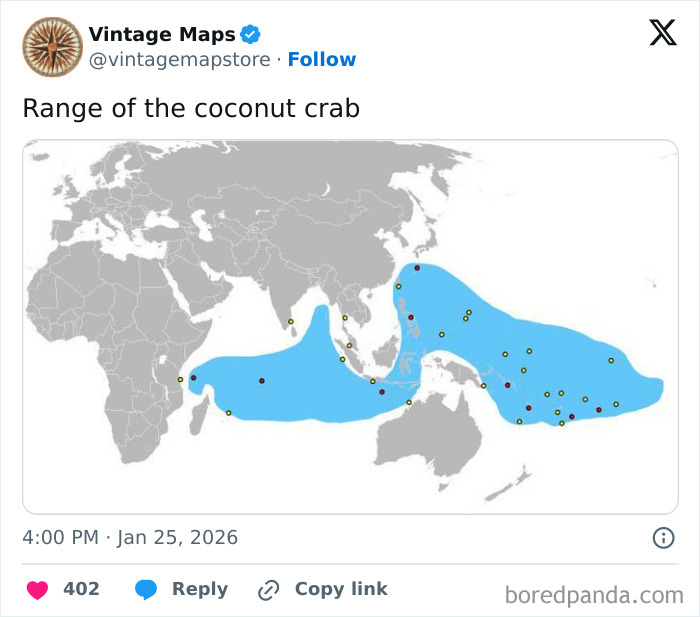 Range map of the coconut crab shown in a cool map highlighting its habitat across the Indian and Pacific Oceans.